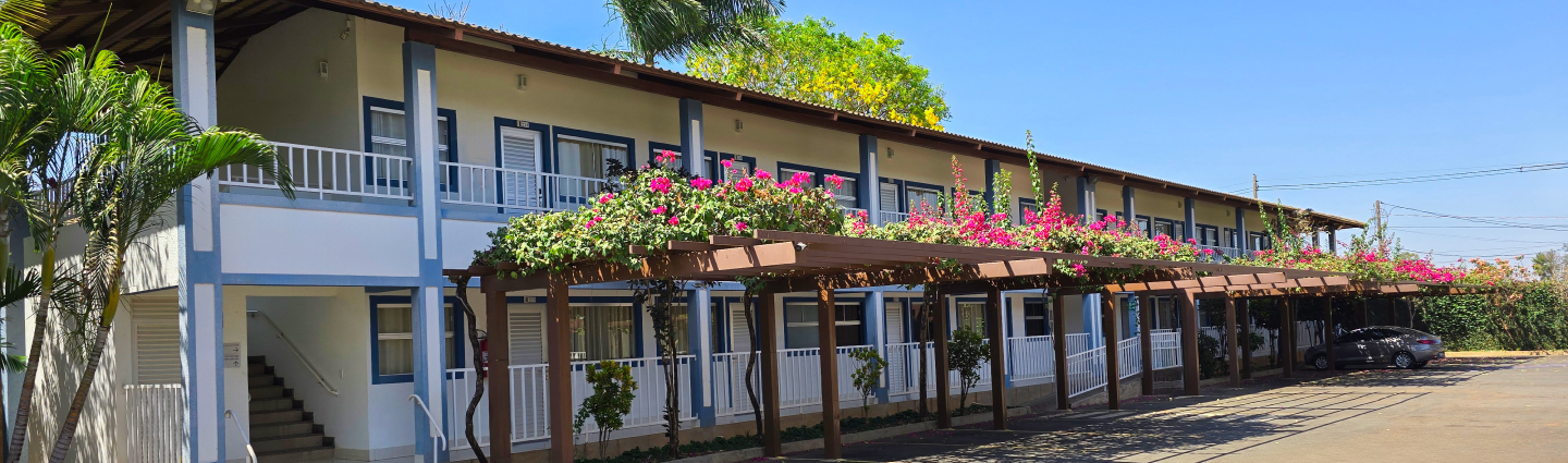 Banner de L'acqua diRoma V