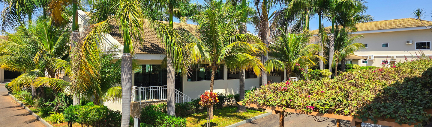 Banner de L'acqua diRoma III